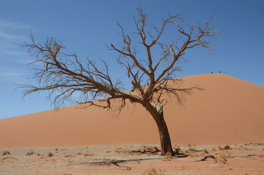 Große Namibiareise